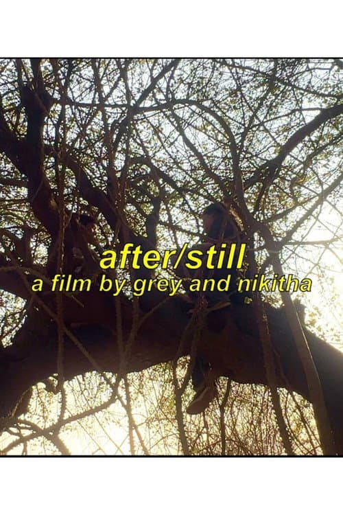 After/Still