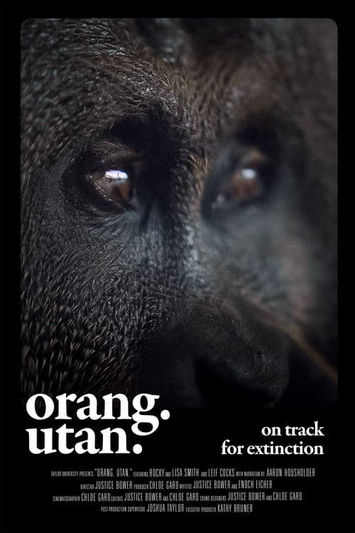 Orang. Utan.