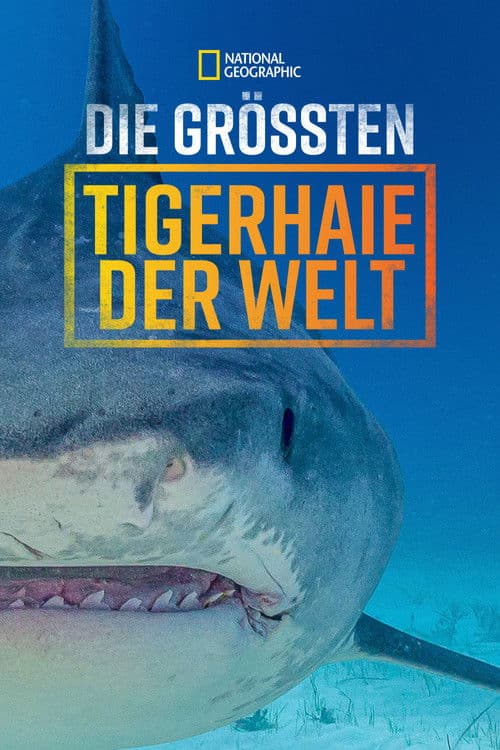 Die größten Tigerhaie der Welt