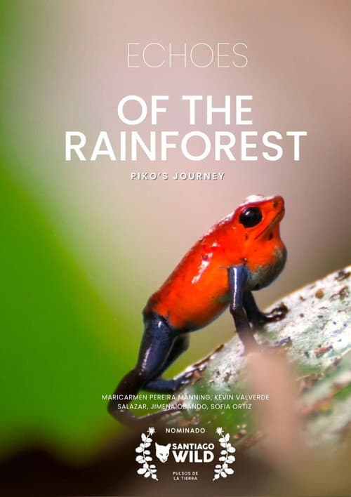 Echoes of the Rainforest:  Piko’s Journey