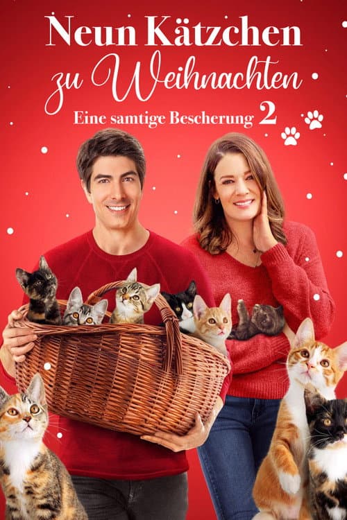 Neun Kätzchen zu Weihnachten - Eine samtige Bescherung 2