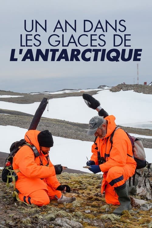Abenteuer Antarktis - Ein Jahr im ewigen Eis