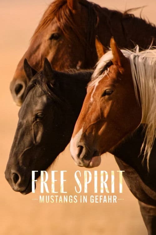 Free Spirit - Mustangs in Gefahr