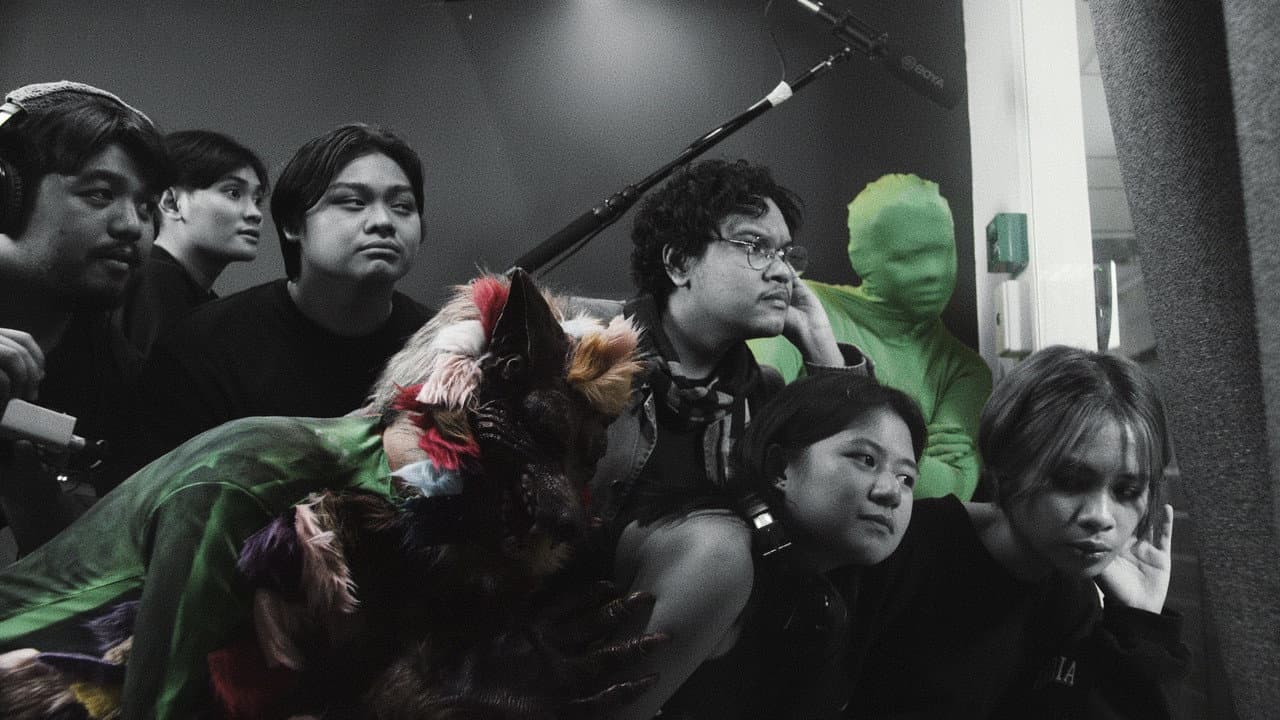 Backdrop – Green Screen