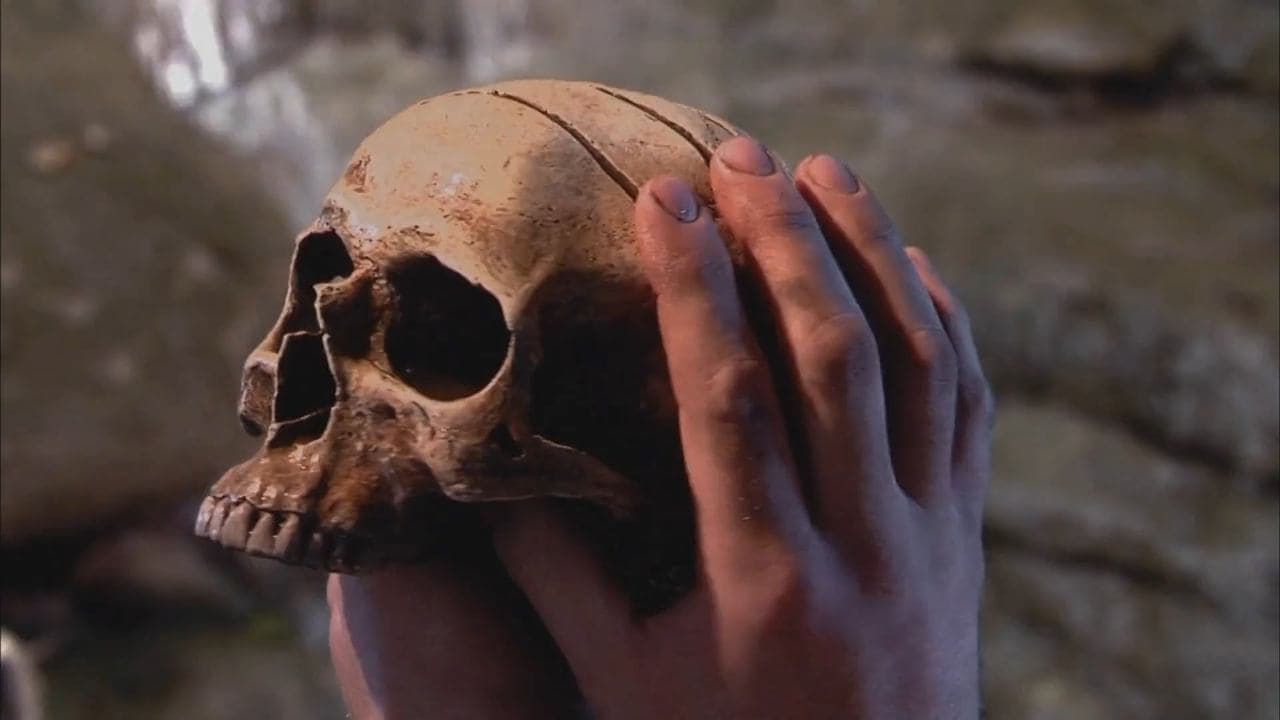 Backdrop – Zombie Rage