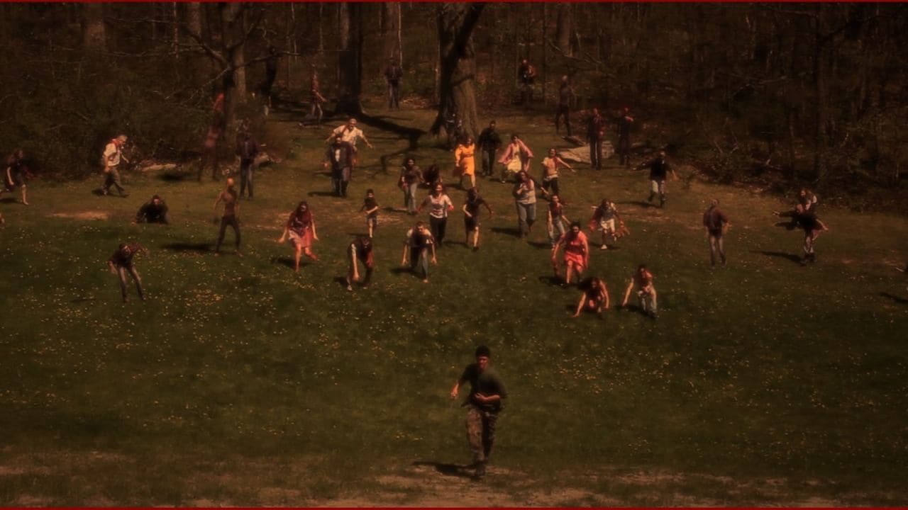 Backdrop – The Stray