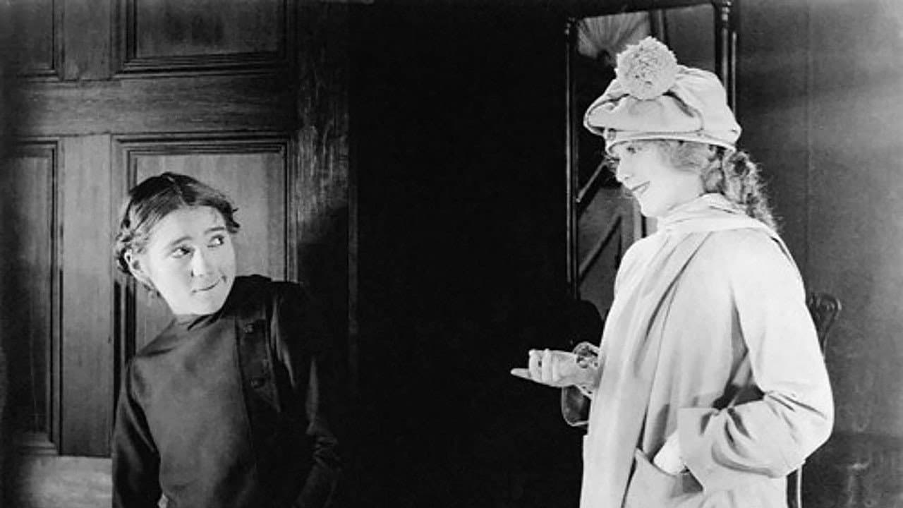 Backdrop – Stella Maris