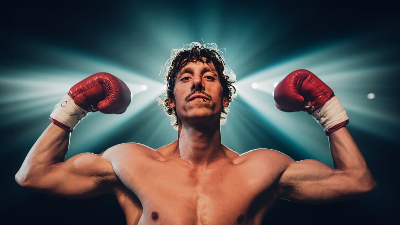 Backdrop – Boxer