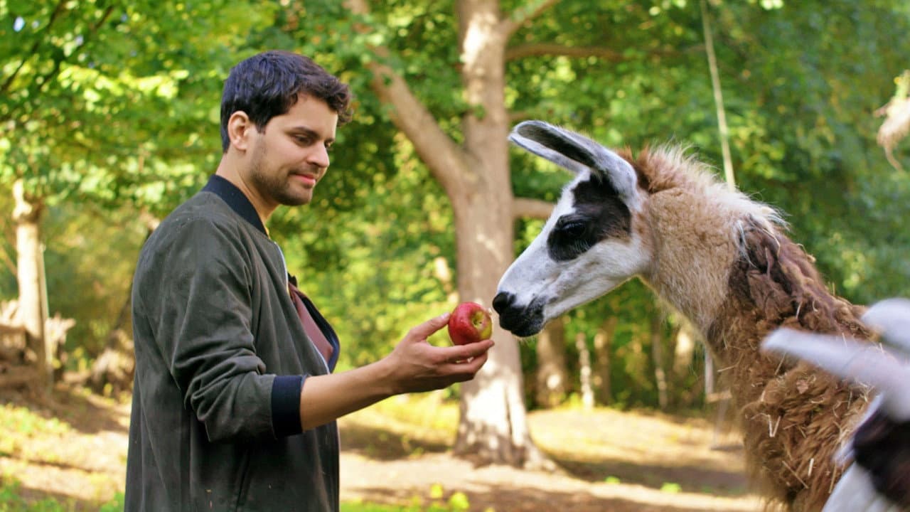 Backdrop – Schlechte Helden oder ein Lama namens Beethoven