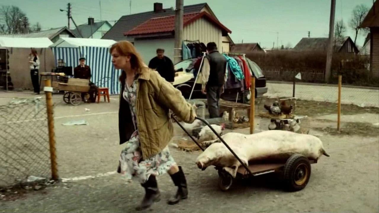 Backdrop – Stebuklas