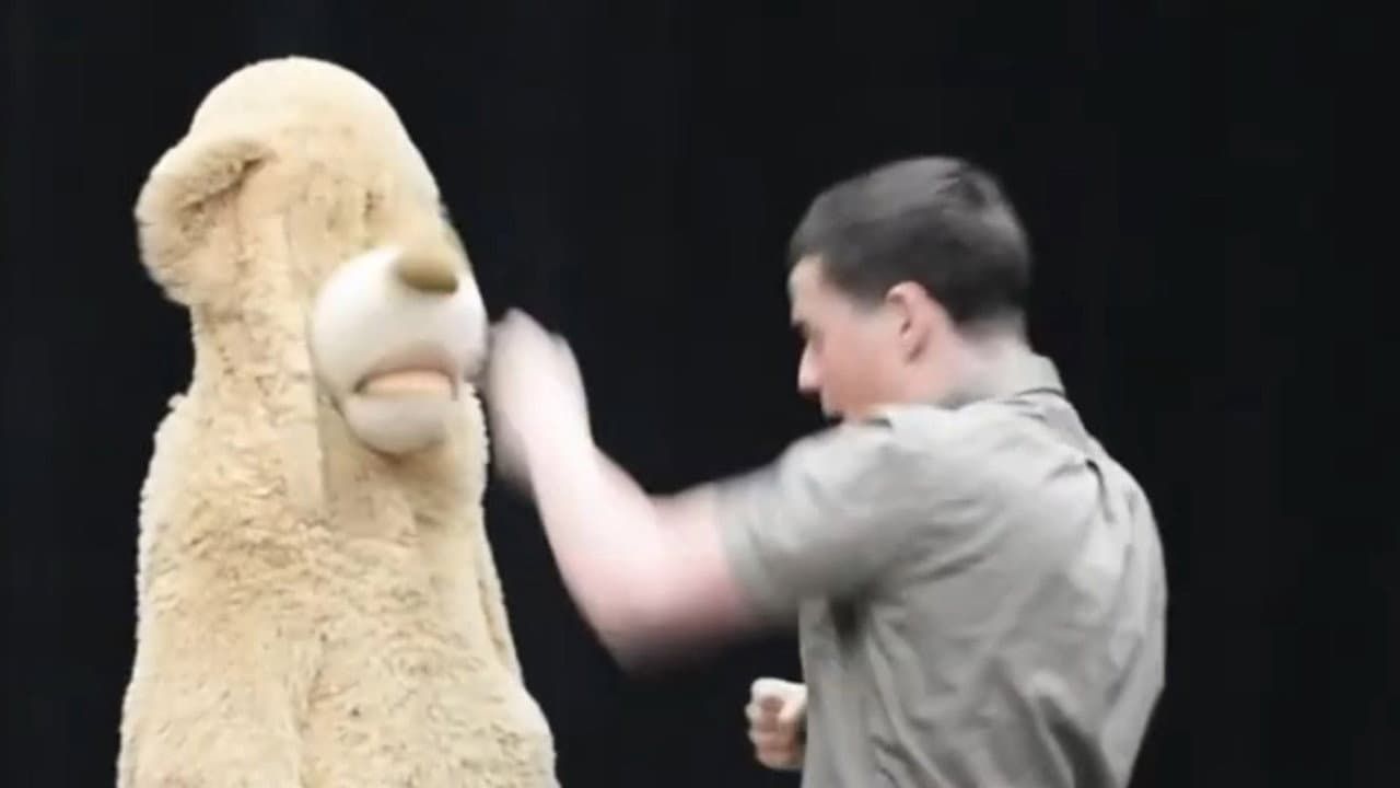 Backdrop – Eric Mitchell: The Harder You Fall