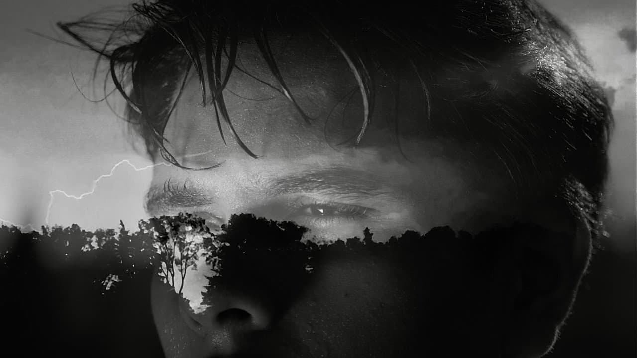 Backdrop – A Voyeurs Body