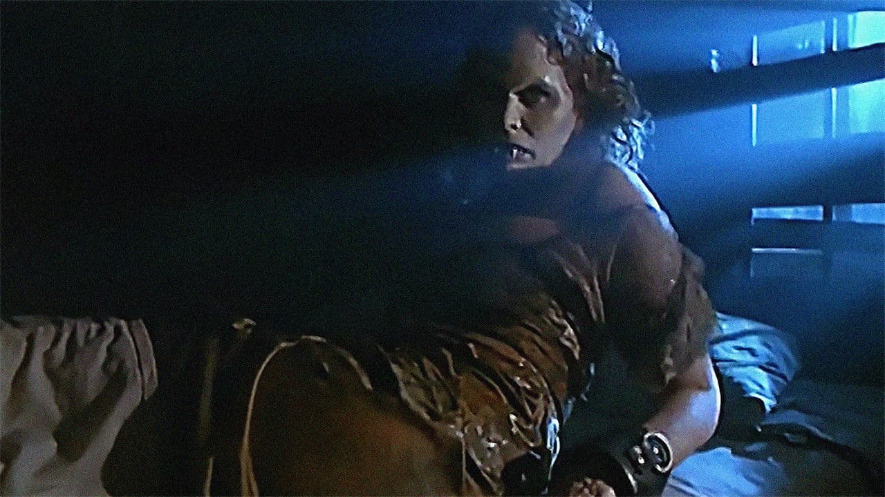Backdrop – Children of the Night