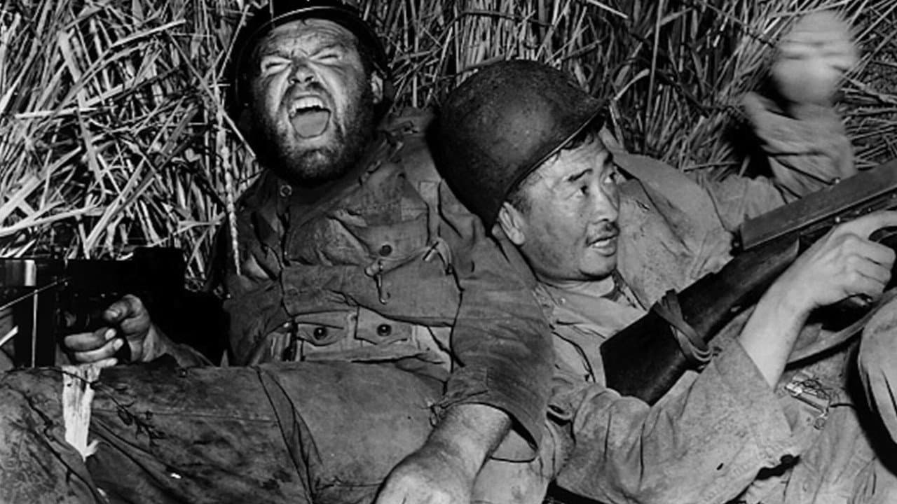 Backdrop – Die Hölle von Korea