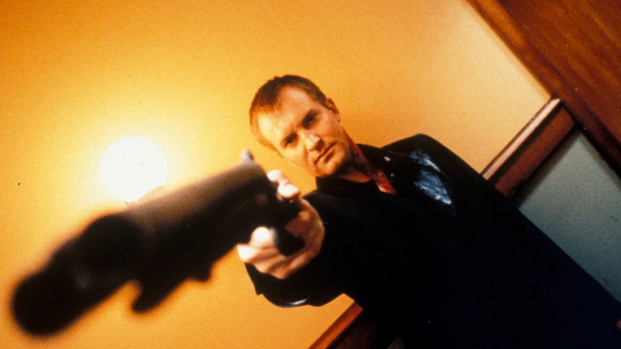 Backdrop – Angel of the Night