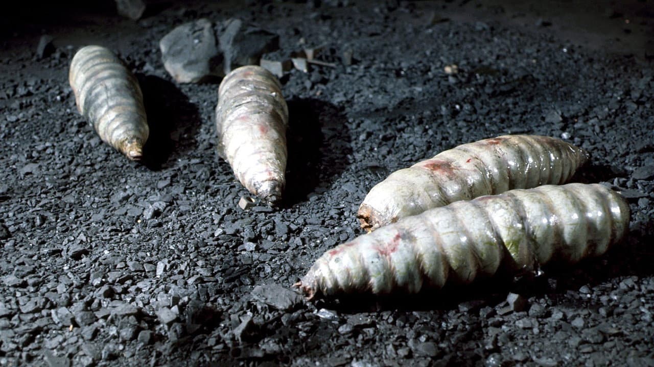 Backdrop – Doctor Who: The Green Death