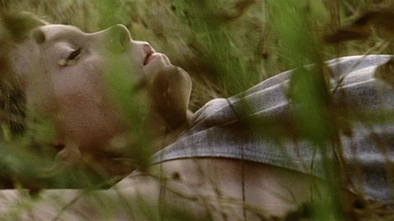 Backdrop – Low Tide