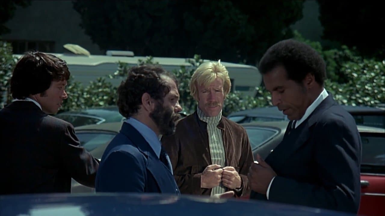 Backdrop – Black Tiger