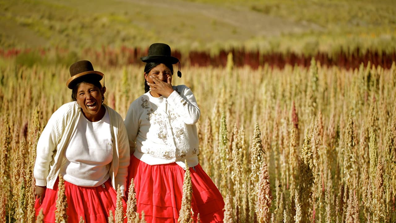 Backdrop – Gastons Küche - Aus Peru in die Welt