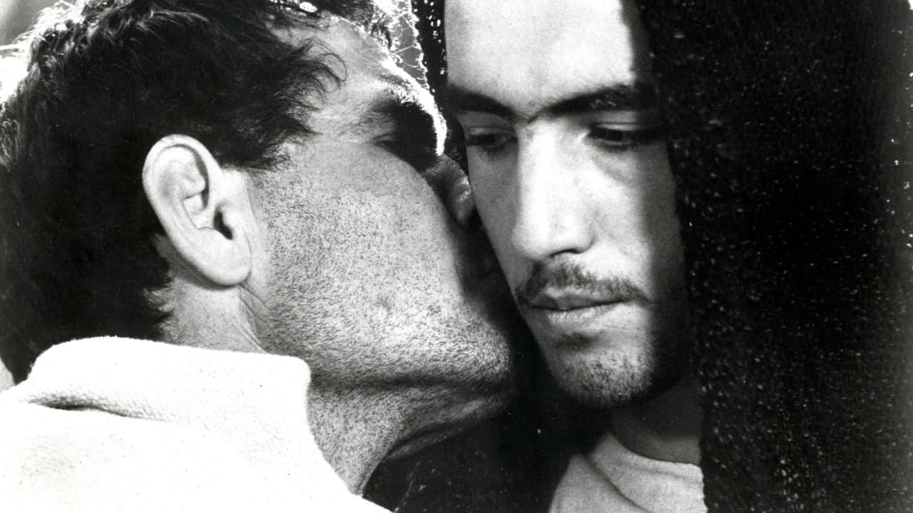 Backdrop – Das 1. Evangelium – Matthäus