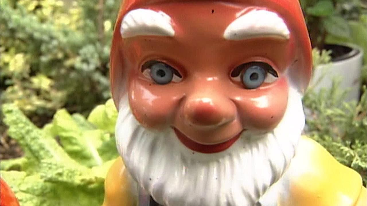 Backdrop – Alltagsgeschichte – Das kleine Glück im Schrebergarten