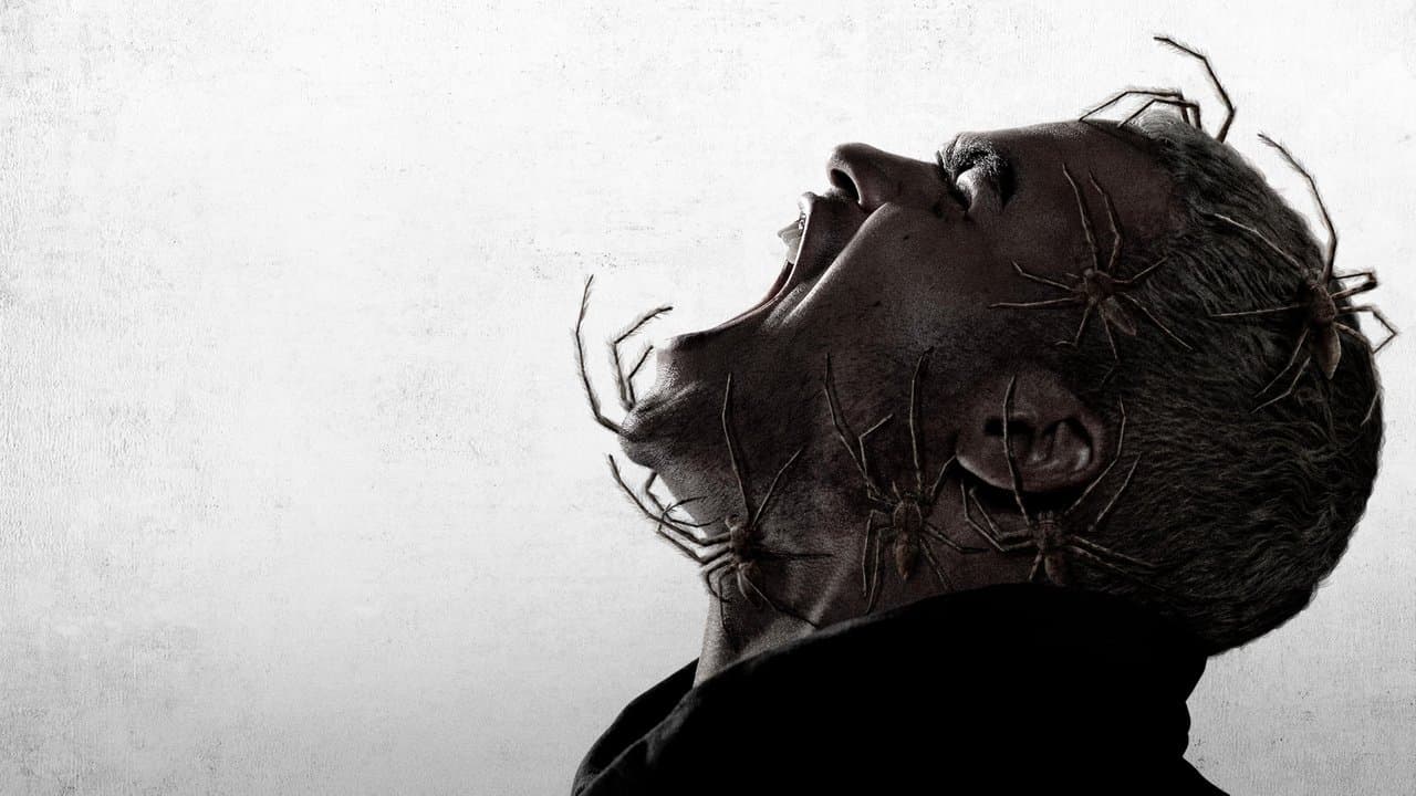 Backdrop – Spiders - Ihr Biss ist der Tod