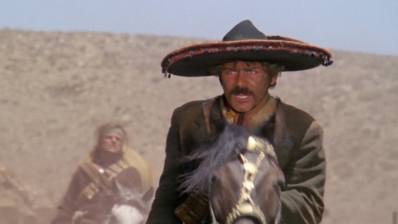 Backdrop – Töte Amigo