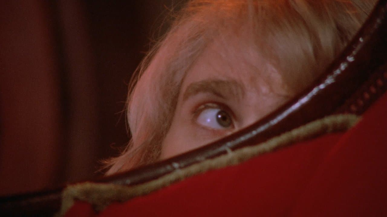 Backdrop – Ehe der Morgen graut