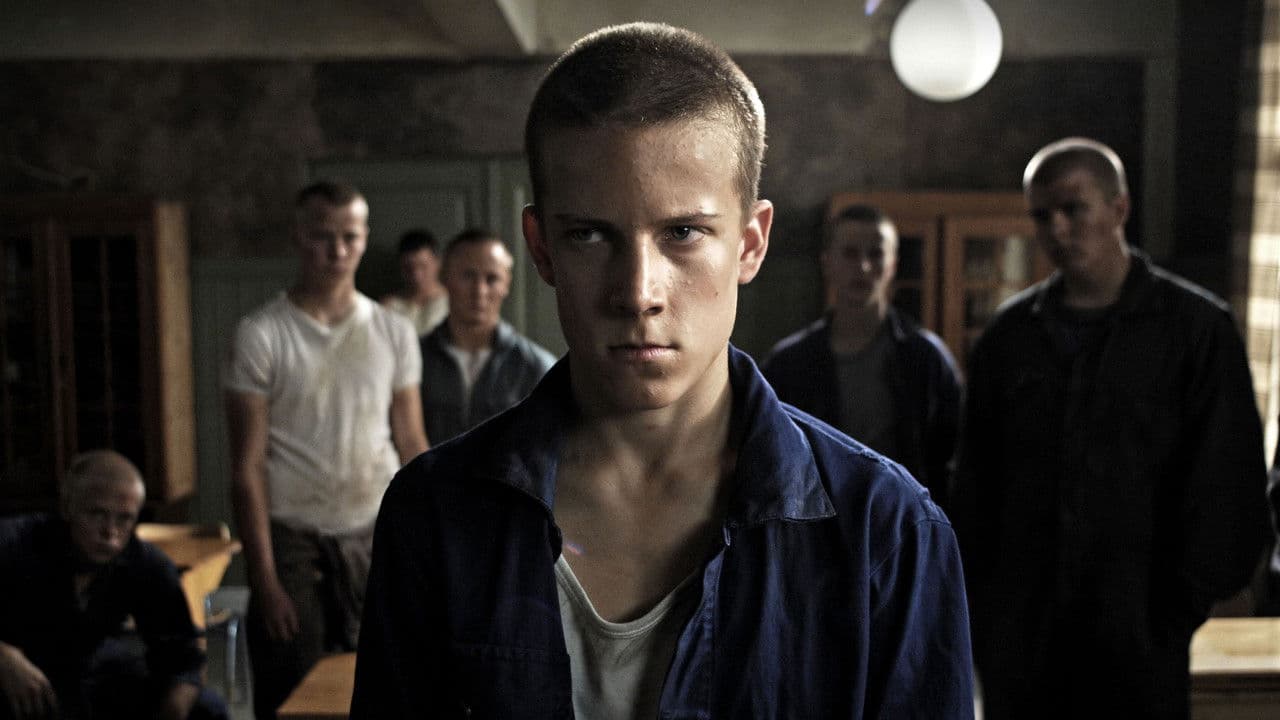 Backdrop – Tummien perhosten koti