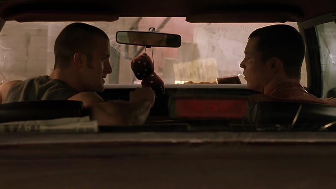 Backdrop – Dallas 362