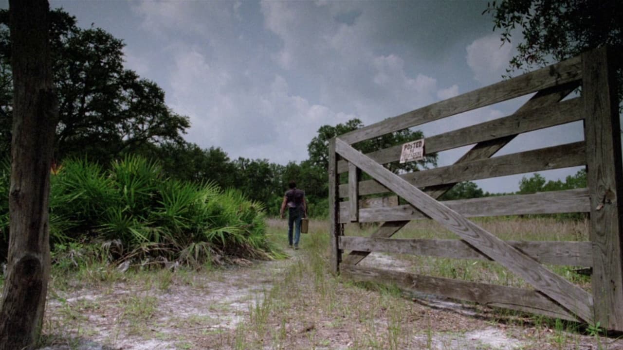 Backdrop – The Enchanted