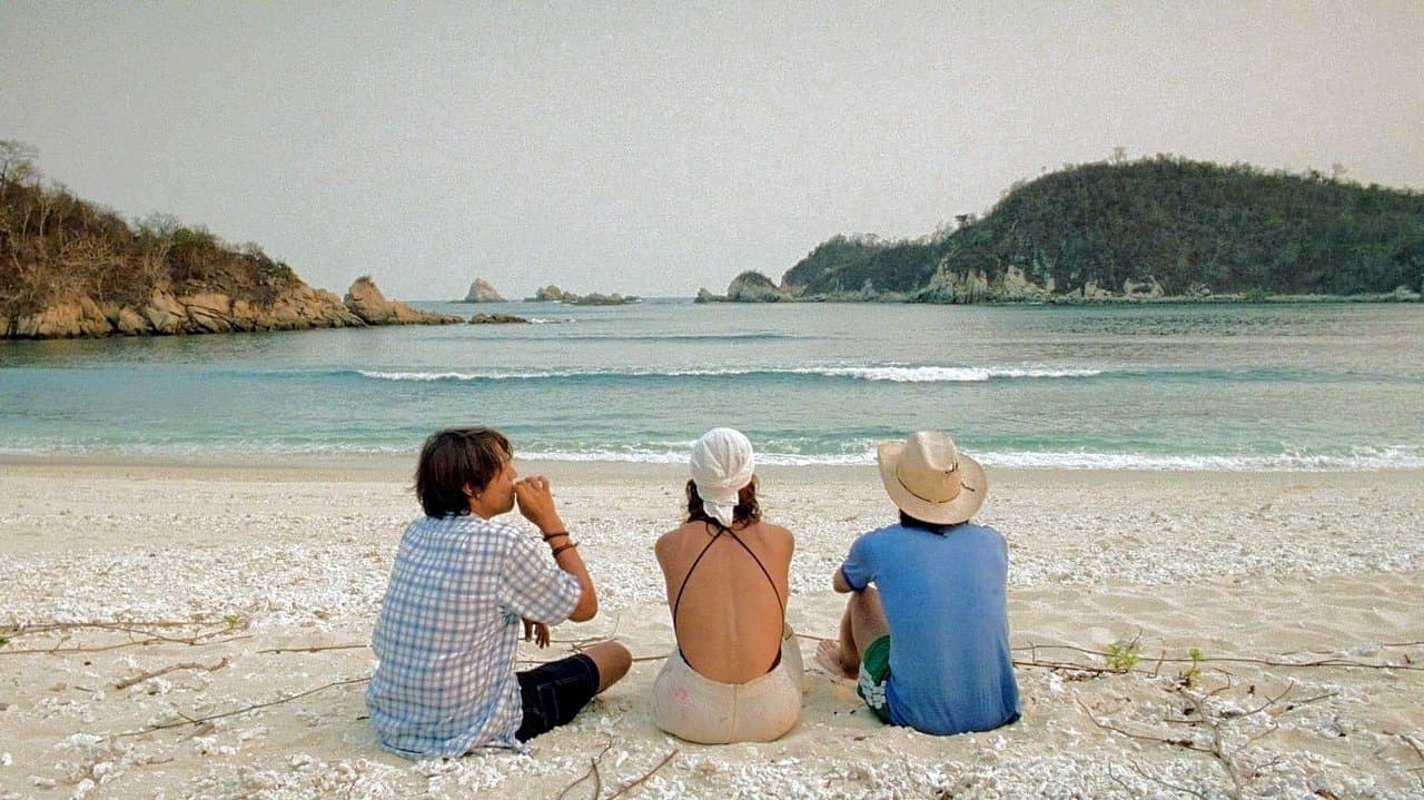 Backdrop – Y Tu Mama Tambien - Lust for Life