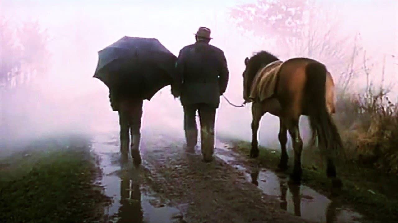 Backdrop – Događaj