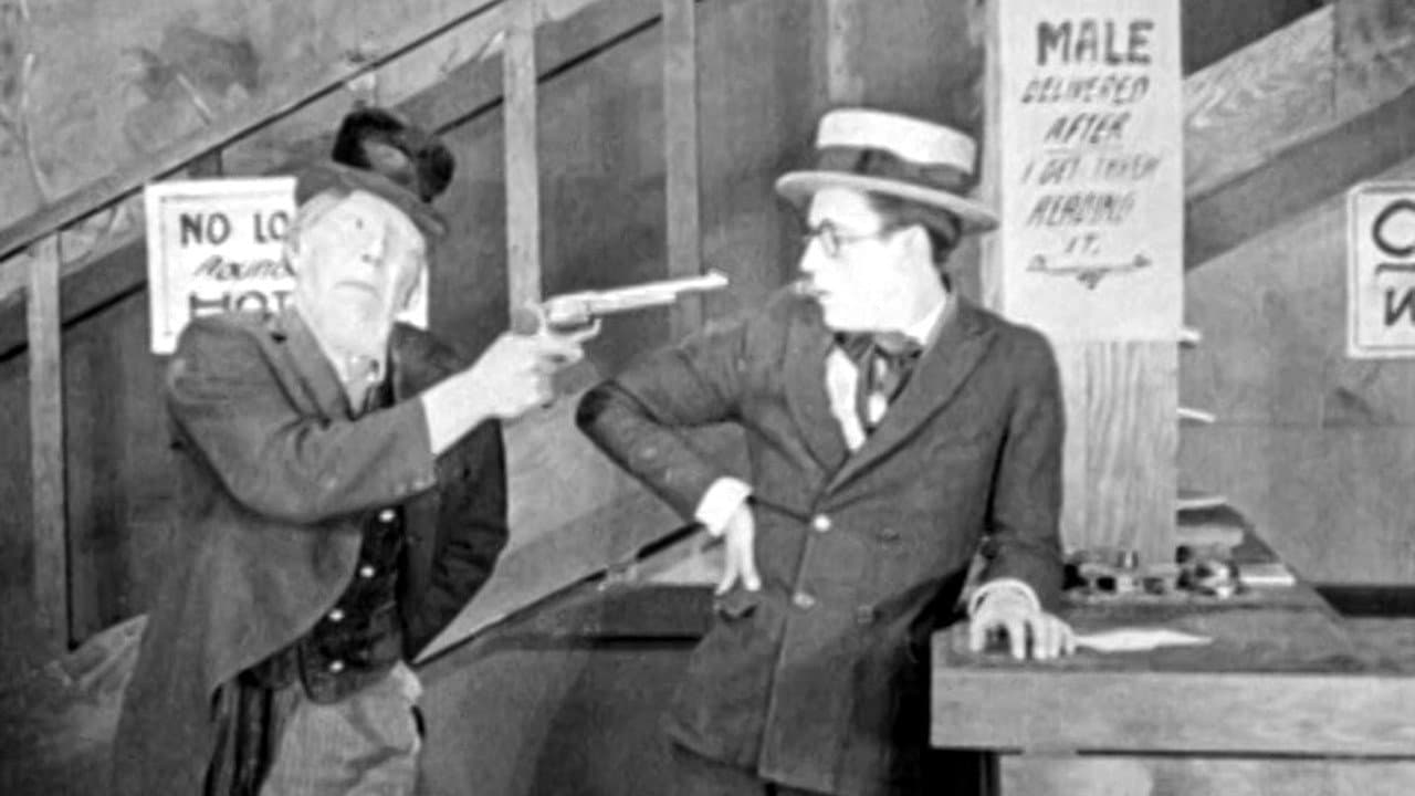 Backdrop – The City Slicker