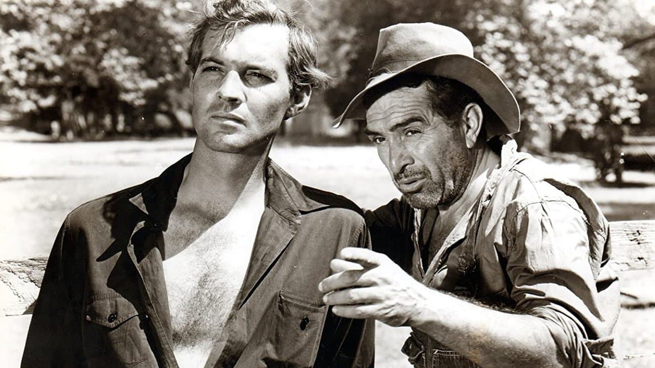 Backdrop – Der Mann aus dem Süden