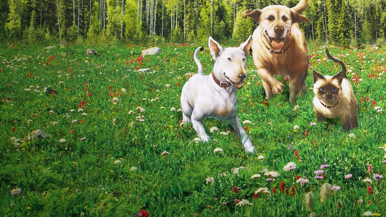 Backdrop – Die unglaubliche Reise