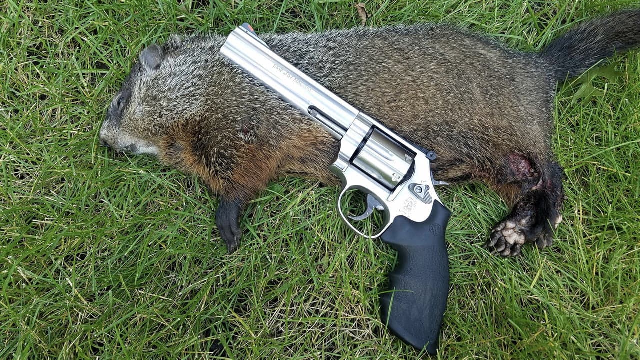 Backdrop – Mr. Groundhog meets Santa Claus