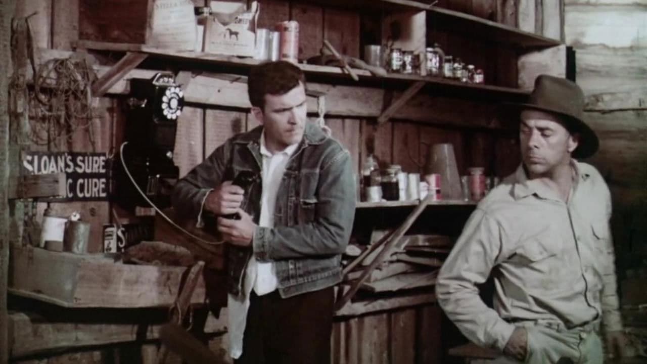 Backdrop – Moonshine Mountain