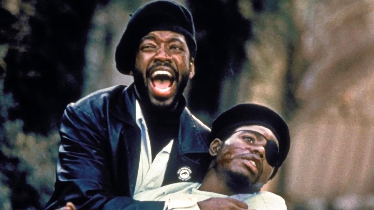 Backdrop – Panther