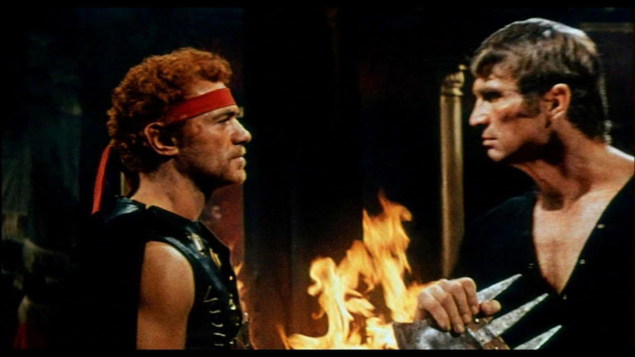 Backdrop – Der steinerne Wald