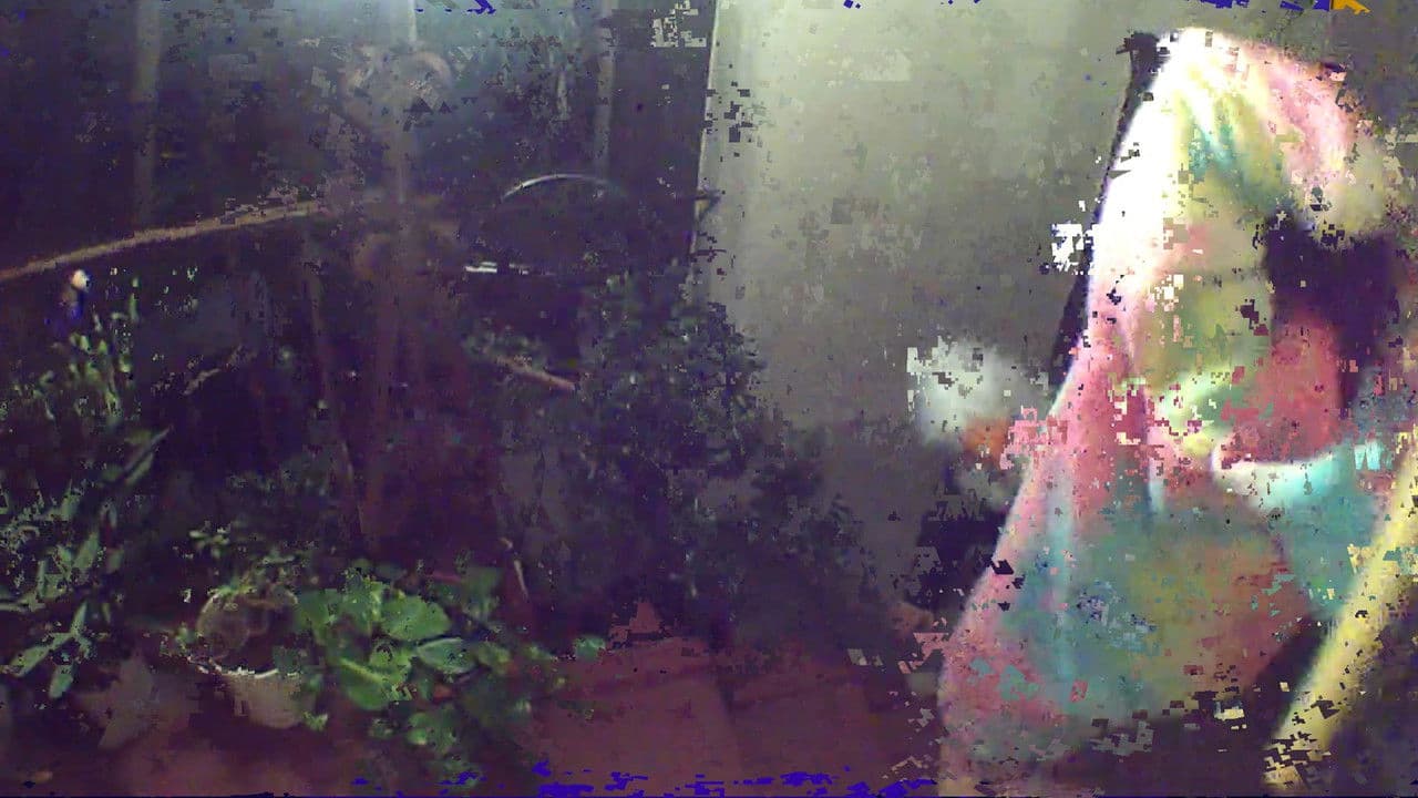 Backdrop – CONTENT