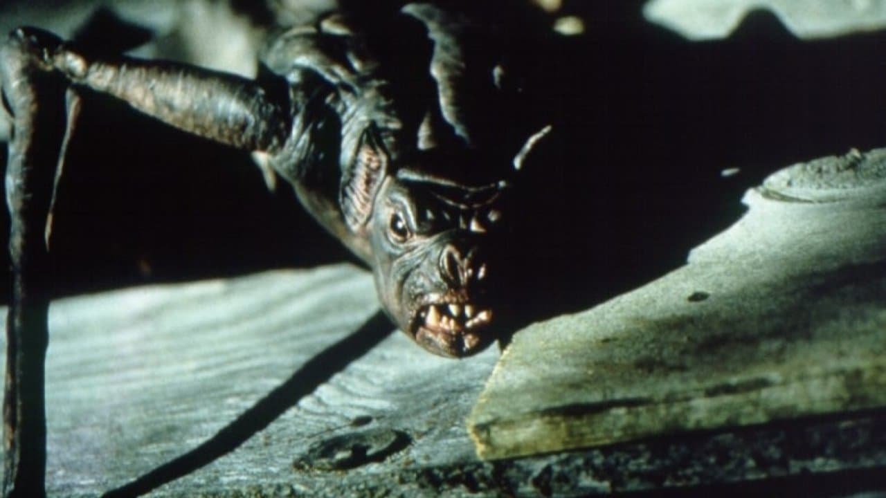 Backdrop – Bats - Fliegende Teufel