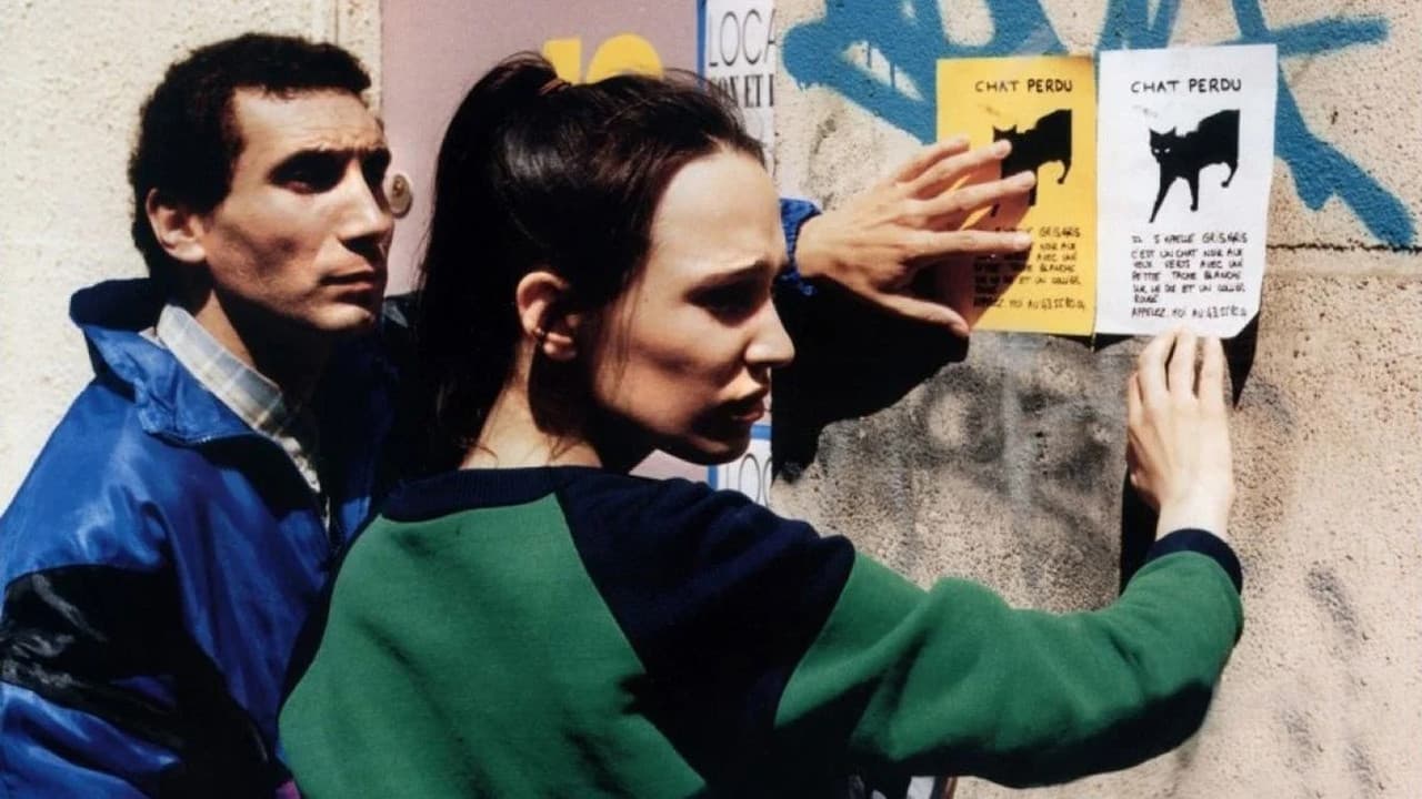 Backdrop – ...und jeder sucht sein Kätzchen