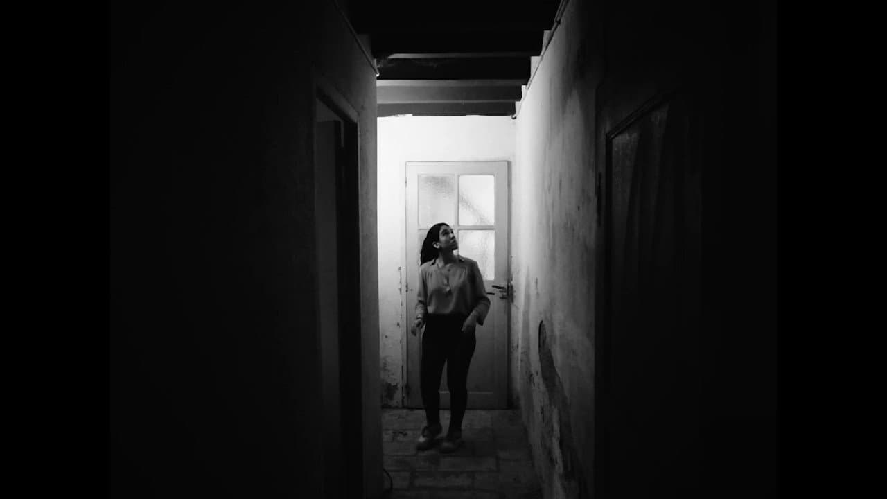Backdrop – Alice au pays des gaillacois